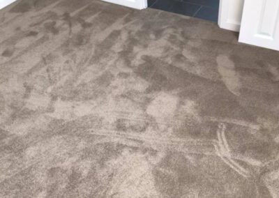 Carpet Flooring outside Bathroom